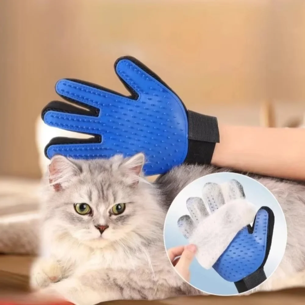 Gato de estimação cão aliciame - Hair Spa Wellness avaliação e preço